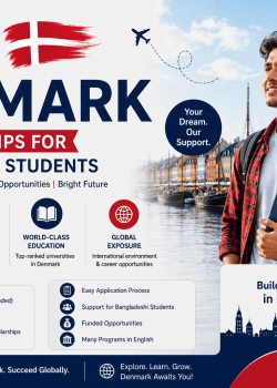 denmark scholarship